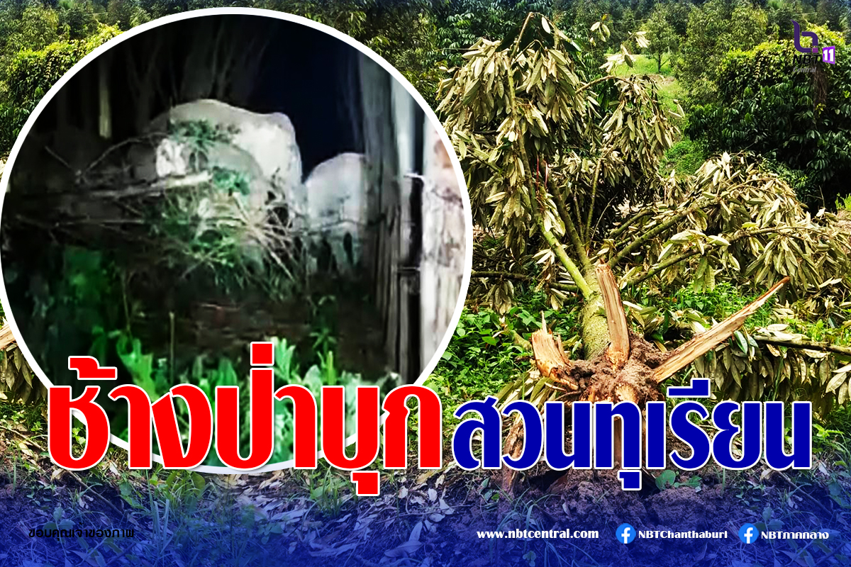 ไขข้อข้องใจ วางแผน "แหกคุก" มีความผิดหรือไม่