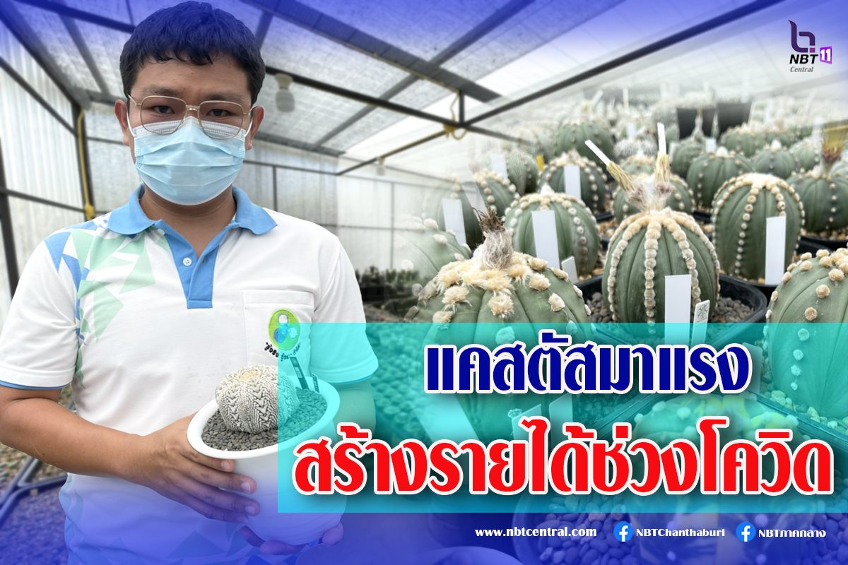 ไขข้อข้องใจ วางแผน "แหกคุก" มีความผิดหรือไม่