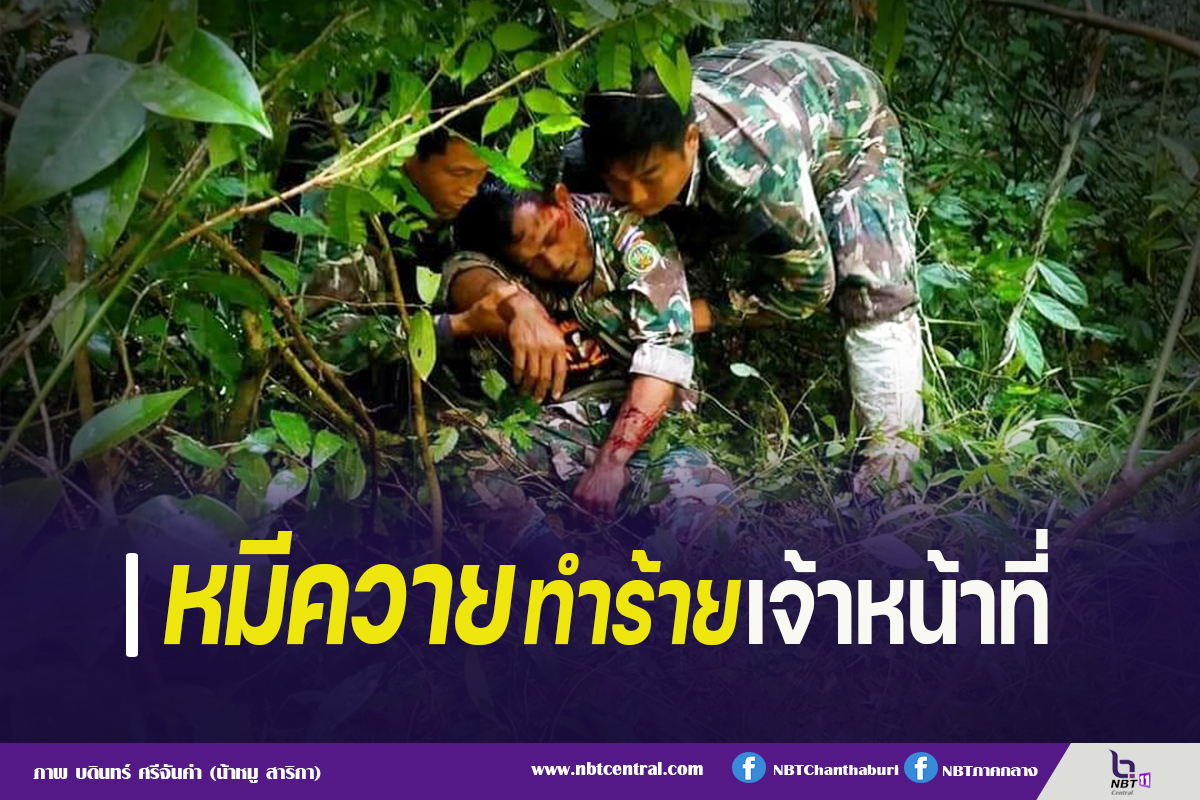 ไขข้อข้องใจ วางแผน "แหกคุก" มีความผิดหรือไม่